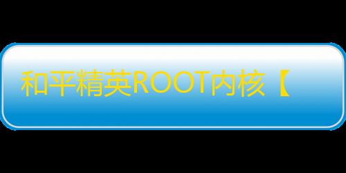 和平精英ROOT内核【水原千鹤】和平插件-外挂